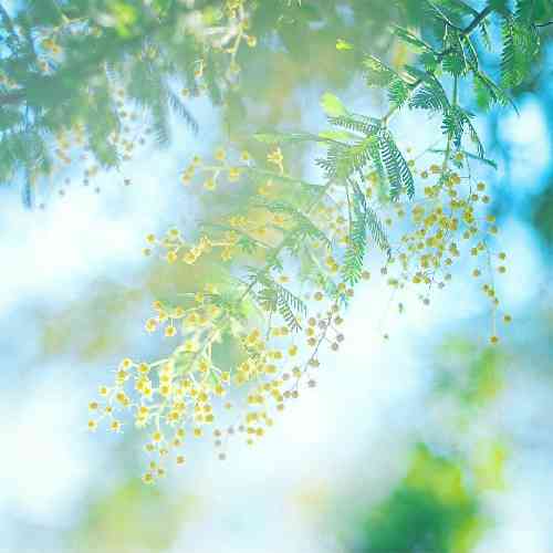  تویی تو آسمونم منم ماهت می مونم تویی تو آسمونم